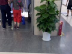 -武汉大学附属爱尔眼科医院(湖北总院)