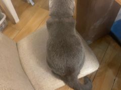 -春笙食堂.丼饭拉面寿司(GOGO新天地店)