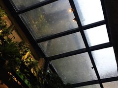 -杨桃院子旅馆(厦门鼓浪屿中华红墨店)