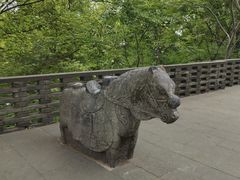 -上海佘山国家森林公园西佘山园