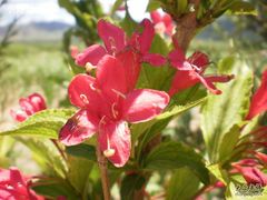 -柳沟豆腐宴义豆堂24号农家院