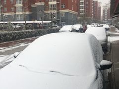 -龙隆昌·鲜品火锅·江湖烤鱼