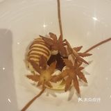 感受一下米其林餐厅的餐点魅力，服务真的是没的说了～