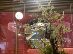 -鲜潭蒸汽石锅鱼(五道口购物中心店)
