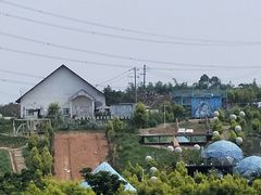 -紫颐香薰山谷景区