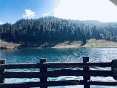-武陵山森林公园