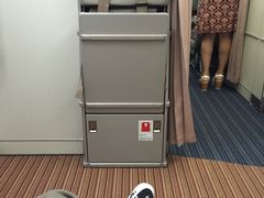 -新加坡航空公司(ION)