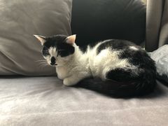 -虚荣精酿酒屋(五羊店)