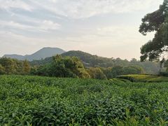 -西湖风景区十里琅珰-五云山