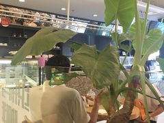 -织荆鸟咖啡(首开福茂店)