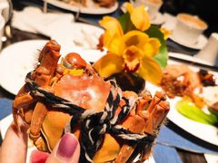 -康莱德酒店·美庭自助餐厅