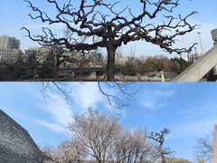 -北京明城墙遗址公园