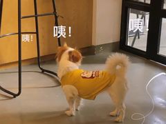 -微饮cafe
