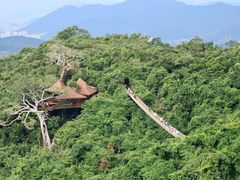 -三亚亚龙湾人间天堂鸟巢度假村