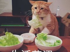 -拿渡麻辣香锅(龙旗购物中心店)