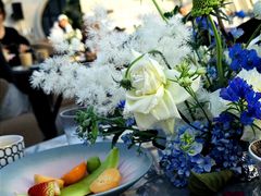 -Hi City·城市之巅