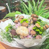 野生菌的盛宴，这家店焖饭鸡汤双绝✨
