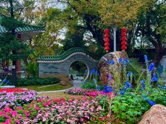 -荔湾湖公园