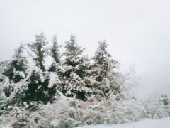 -太子岭滑雪场