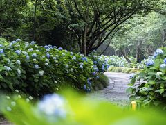 -达蓬山旅游度假区