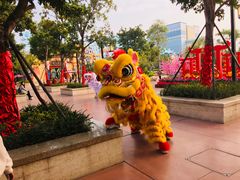 -厦门方特梦幻王国