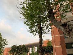 -四川大学(望江校区)