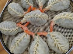 -小叶大馅饺子城