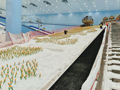 -广州热雪奇迹