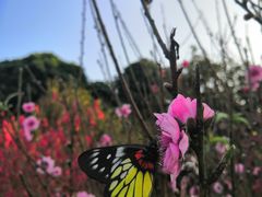 -水濂山森林公园