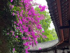 -成都杜甫草堂博物馆