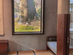 -青竺·青竹茶舍(断桥店)