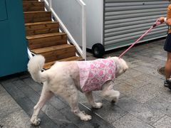 -绿地风尚天地广场