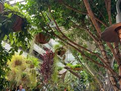 -The Grounds of Alexandria
