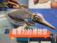 -国家自然博物馆