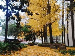 -四川大学(望江校区)