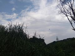 -天河潭旅游度假区