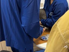 -天使宠物医院·犬猫分诊(彩虹店)