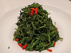 红果枸杞苗-清真·宁夏印象·盐池滩羊肉体验店(江宁路店)