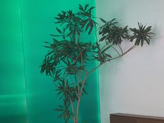-听香·678茶铺(猛追湾店)