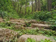 -秦岭风景区