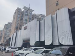 -阿五黄河大鲤鱼(英协路店)