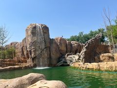 -北京野生动物园