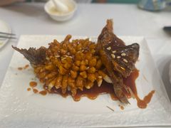 -洋洋中餐馆·SINCE 1997(信投店)