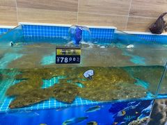 水产区-百味饺子城•海鲜家常菜(秦皇岛店)