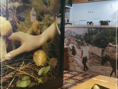 -云海肴·汽锅鸡·云南代表菜(天山百盛优客店)