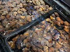 -海鲜e族(马王堆店)