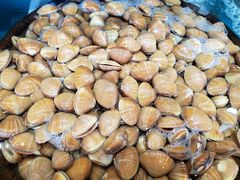 -港畔赶海蒸汽海鲜烧烤自助(仙螺岛店)