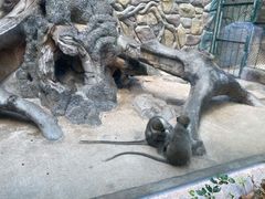 -泉州海丝野生动物世界