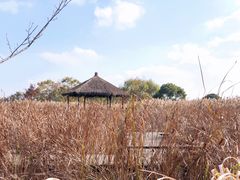 -梁鸿国家湿地公园