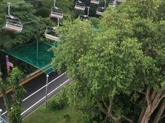 -圣淘沙天际线斜坡滑车